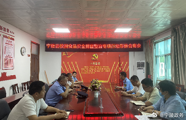 宁陵新闻最新动态与快速响应计划分析报告_薄荷版更新进展