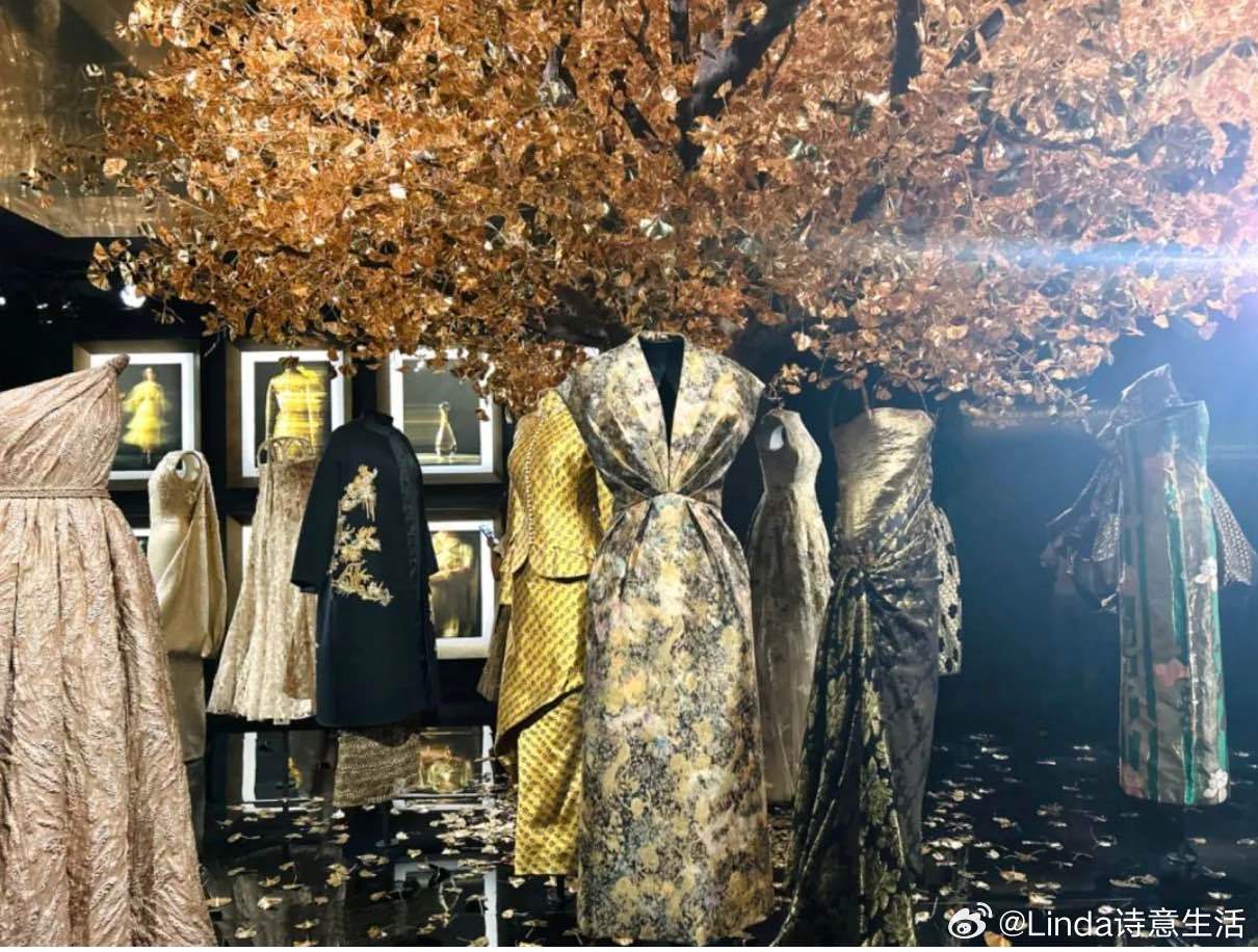 金色画卷限时上新，视觉盛宴启幕，抢鲜欣赏不容错过