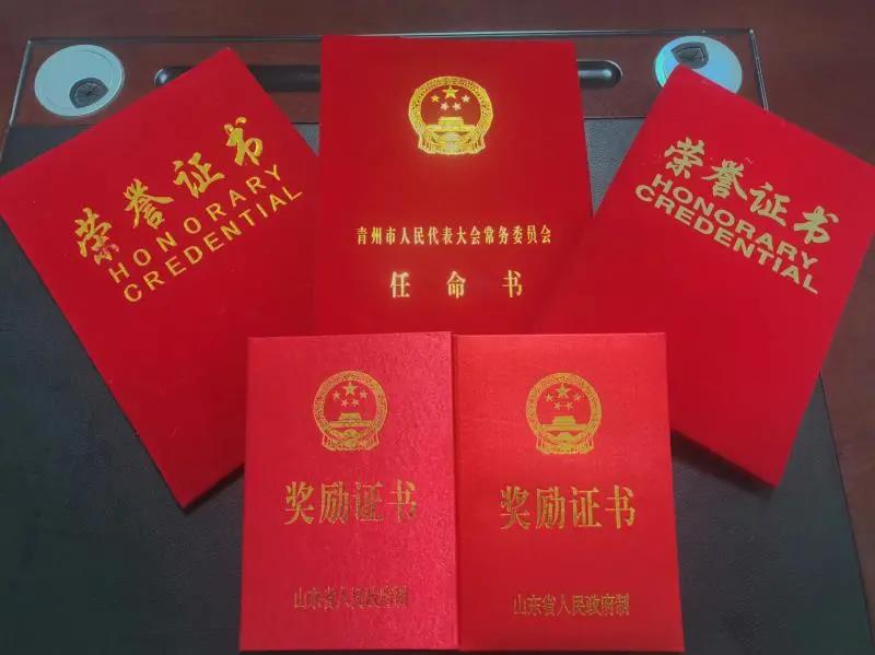 正义的使命，变化、学习与自信的力量最新章节