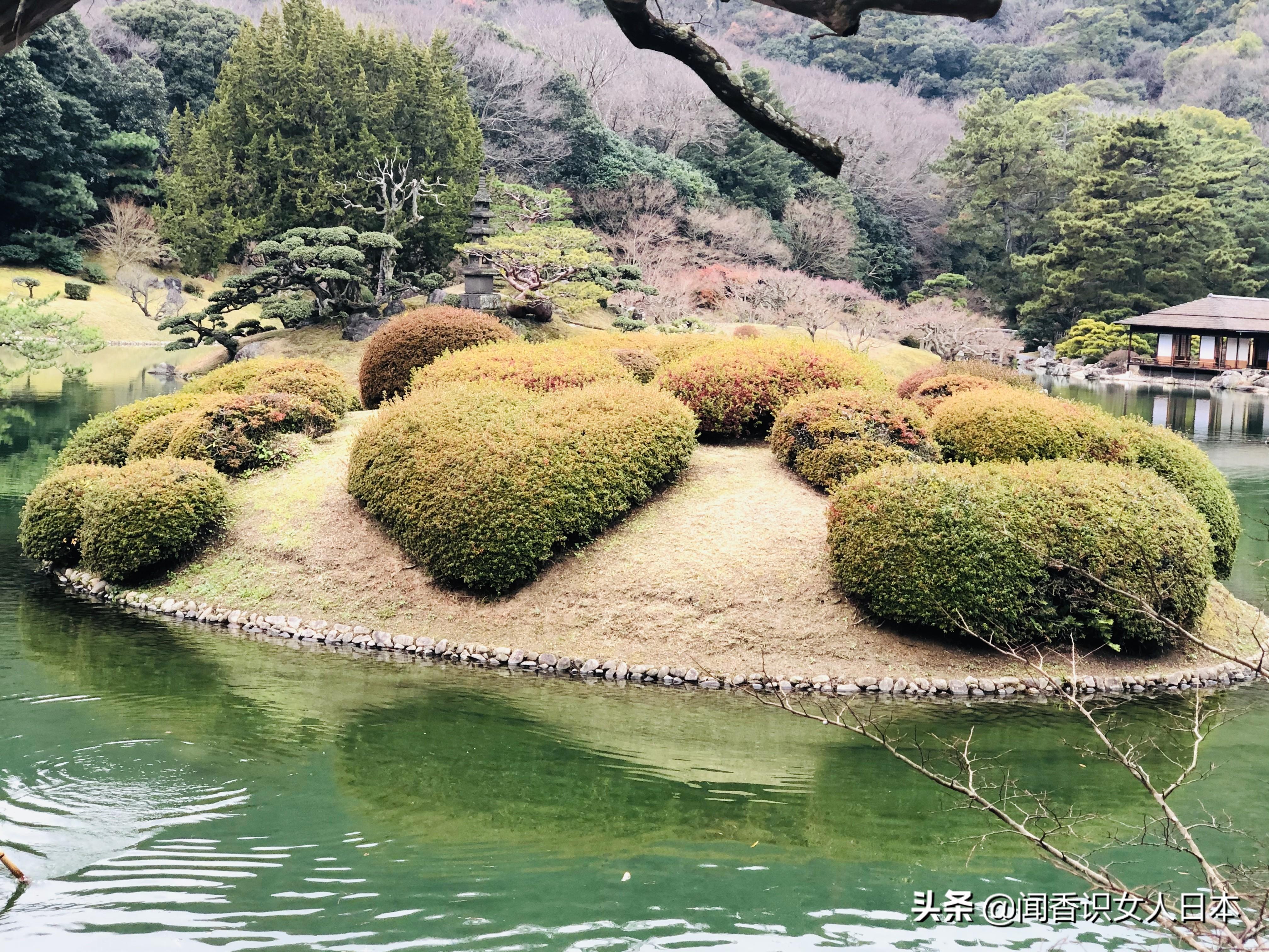 三星最新平板电脑，领略自然美景，探寻内心宁静与平和的体验