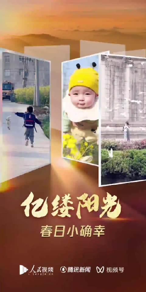 洛阳小辛怡最新动态，重燃希望之光