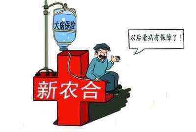 新农合最新政策，护航农民健康之路