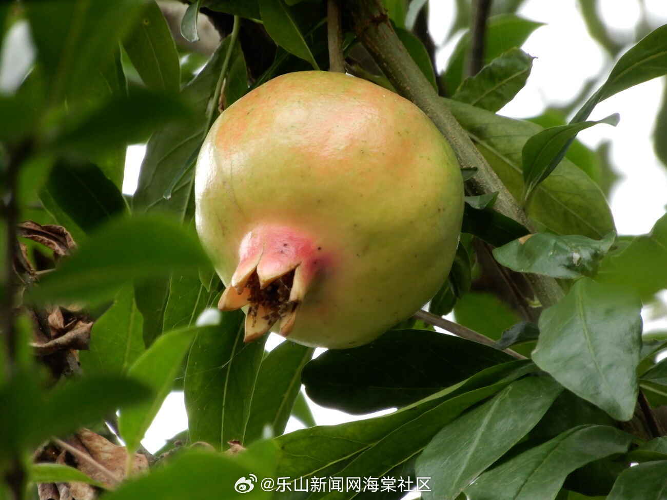 第1725页