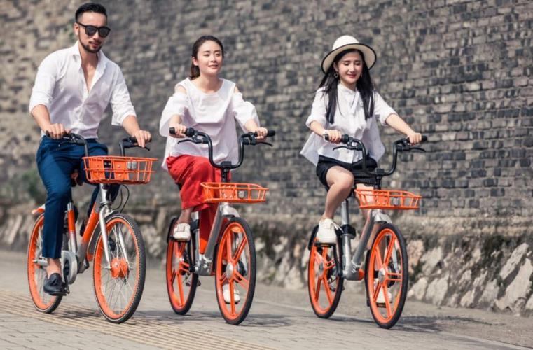 国际原油最新价格消息，心灵与自然的奇妙旅程