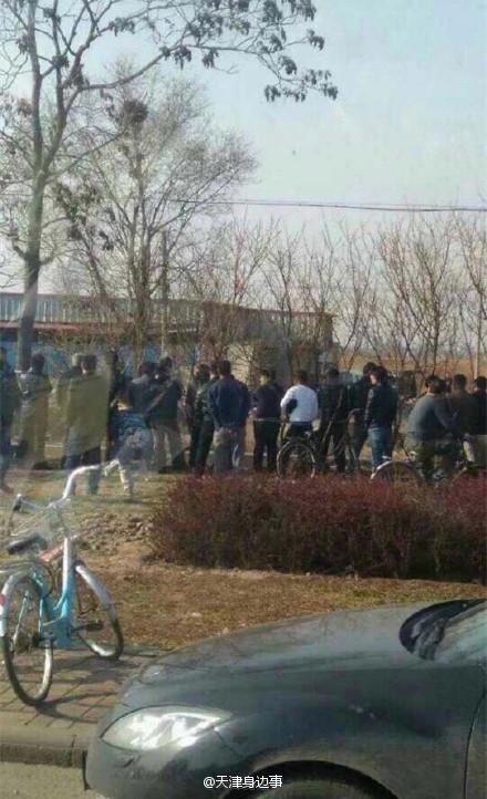 天津最新命案，悲剧的阴影与时代反思