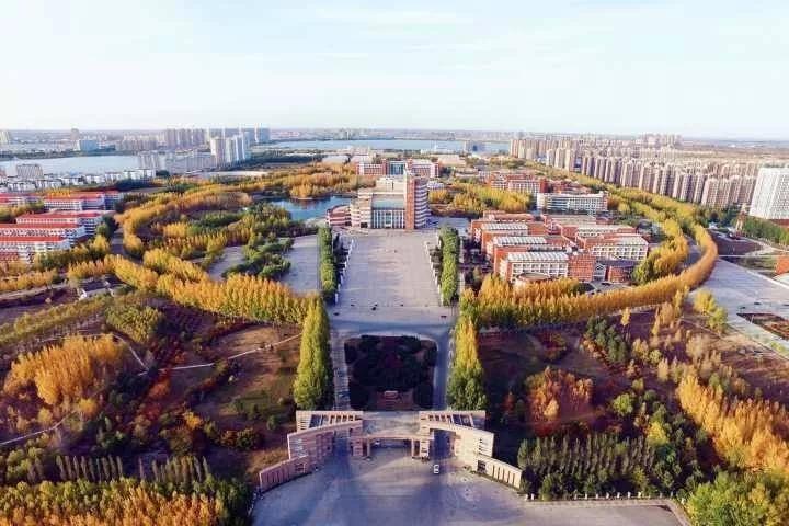 东北大学最新动态，观点阐述与个人立场探究