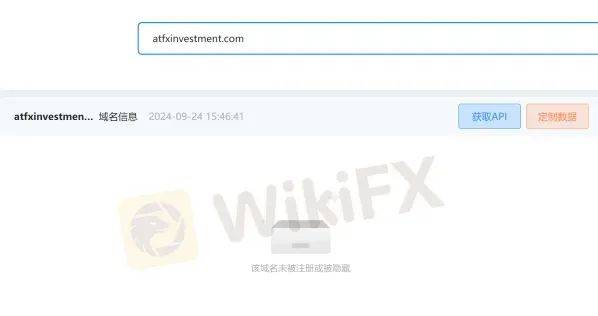 探索最新网络世界，去干最新网之旅