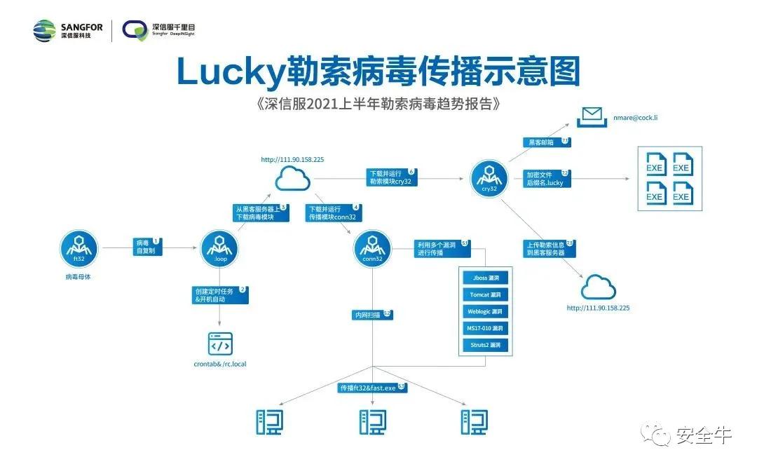 病毒最新趋势，演变、挑战及应对策略分析
