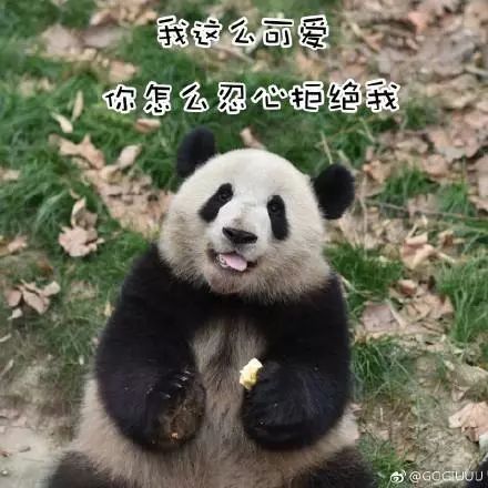 第4578页