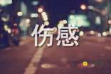 最新QQ伤感个性签名，情感深处的独白探索