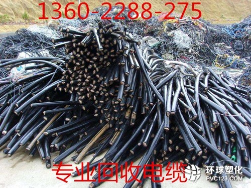 第4497页