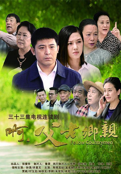 最新农村电视剧，揭示乡村生活的真实面貌