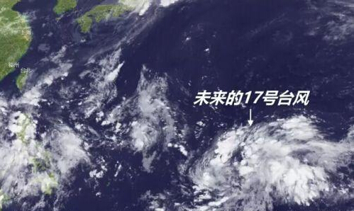第4442页