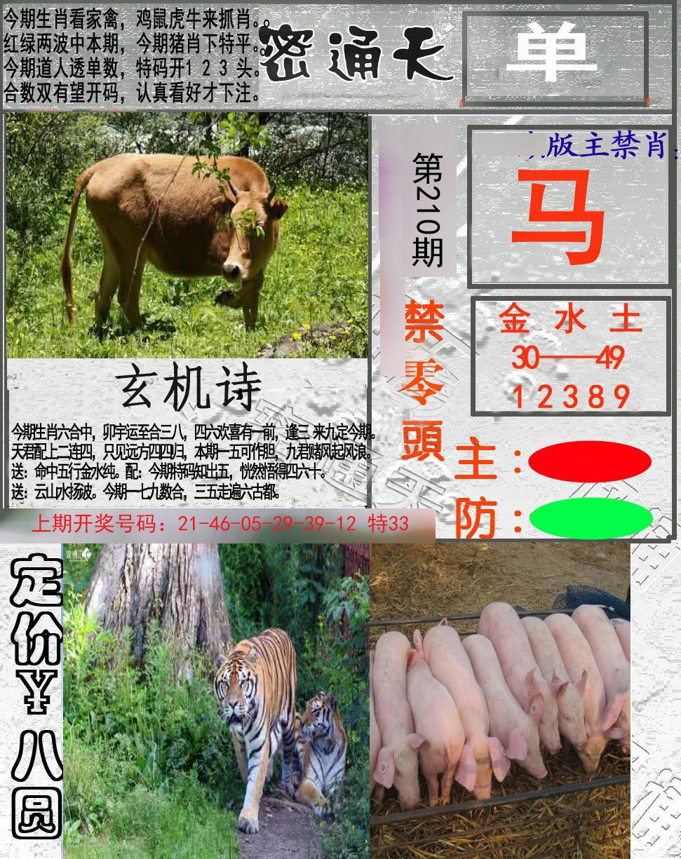 2024年管家婆的马资料,未来展望解析说明_KP24.57.25