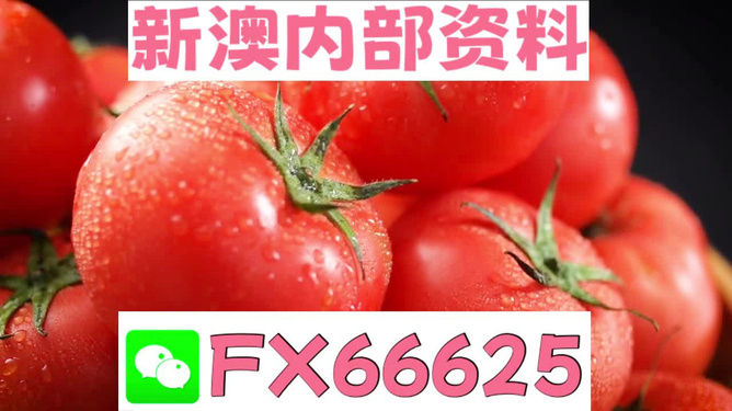 大赢物联 第899页