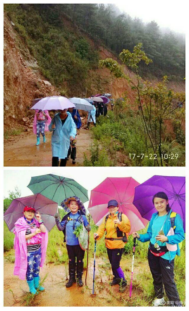 云南暴雨，最新消息与现状分析解释定义