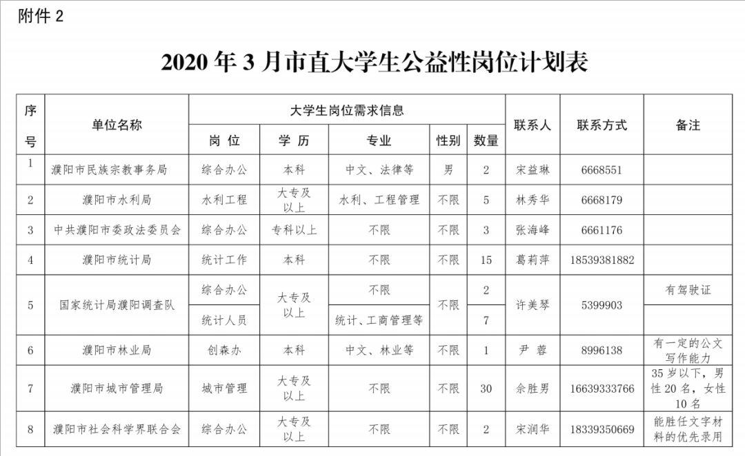 濮阳招聘信息与稳定评估计划方案揭秘，精英款细节全解析