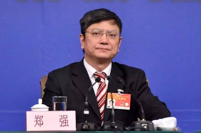 郑强最新演讲，迅速落实计划解答详解