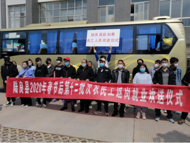 陆良最新招聘信息及数据解析导向计划揭秘_5DM44全新解析