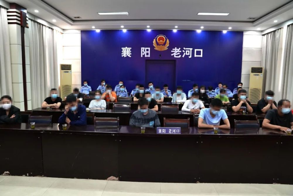 老河口最新案件深度解析，数据应用策略领航版最新进展