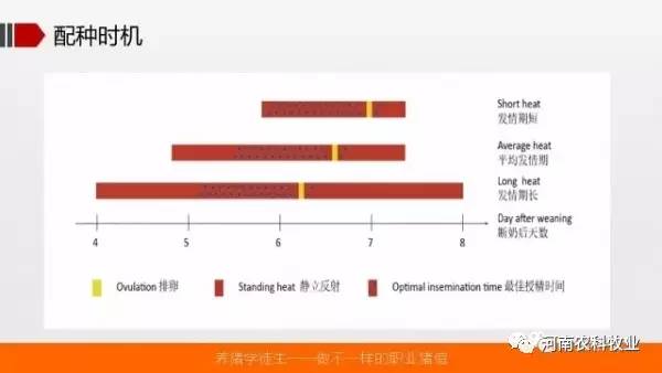 联通 第809页
