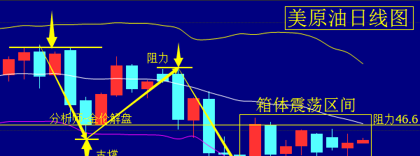 2024新澳门今天晚上开什么生肖,全面探讨解答解释路径_精确版9.737