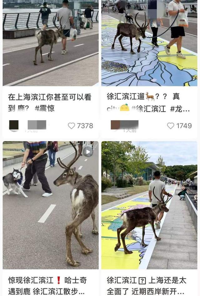 联通 第765页