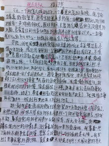 两高中生奸杀教师案疑团：不写悔过书