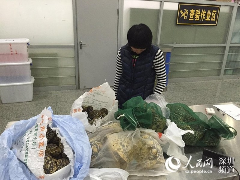 揭秘，海关查获的23件带血废旧床垫背后的隐秘故事