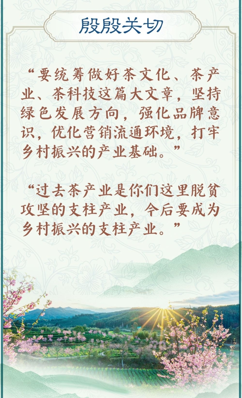 广东二八站82593奥门_要统筹做好茶文化这篇大文章,可靠性操作方案_macOS98.93.48