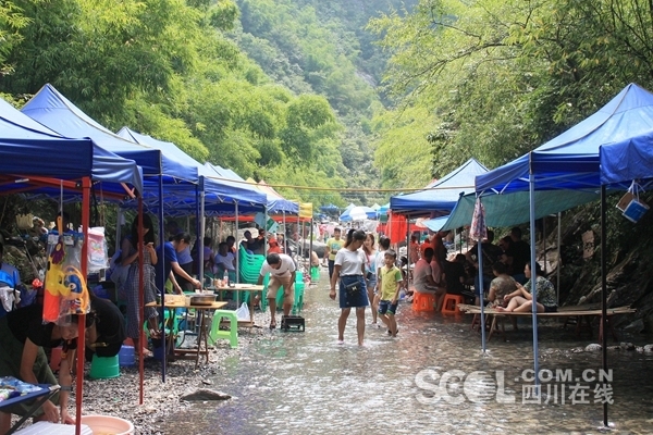 景区回应