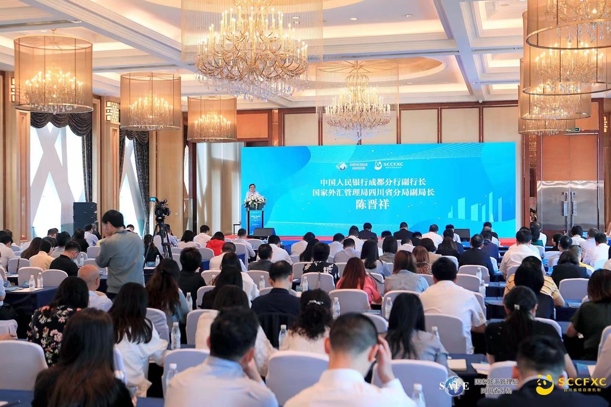 人民币汇率最新动态下的科技新星，智能汇率跟踪器实时更新功能揭秘