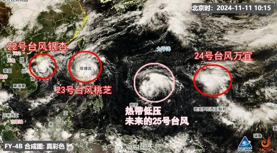 浙江台风最新动态