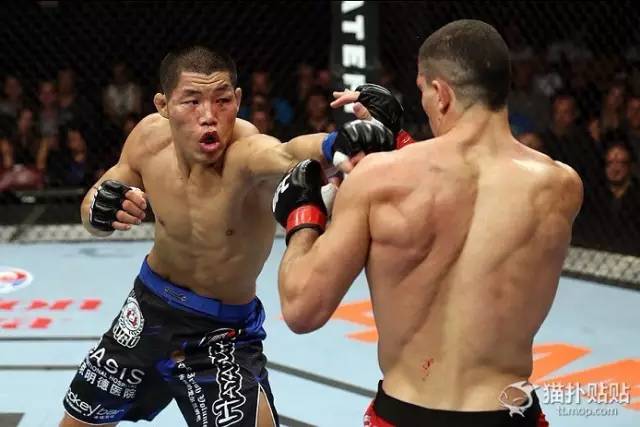 UFC直播，友情与陪伴的温馨篇章