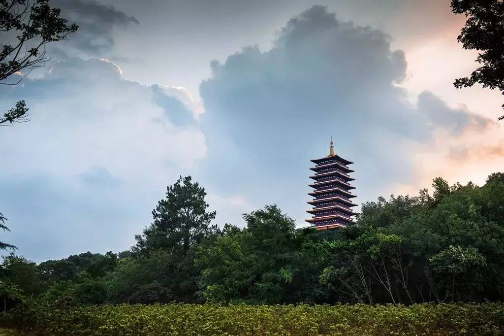 南京旅游攻略最新更新，自信与成就感的探索之旅