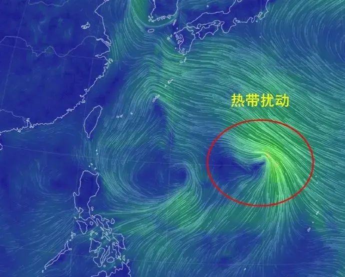厦门台风最新消息下的温馨日常记录