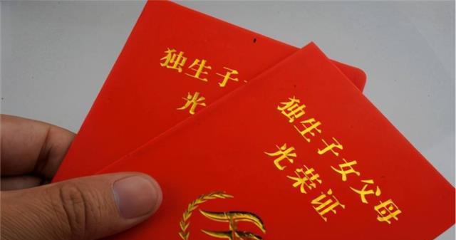 2022年独生子女补贴最新政策解析，变化中的机遇与自我成就感的把握