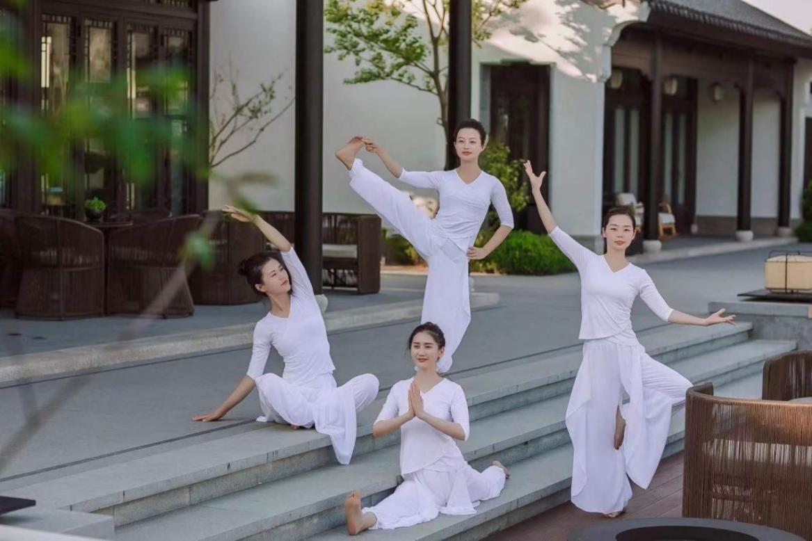 净心之旅，最新影片在线观赏与探索自然美景的双重体验