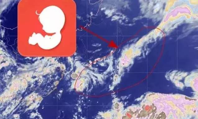 昆山台风最新动态，风雨中的励志故事与成长交响曲