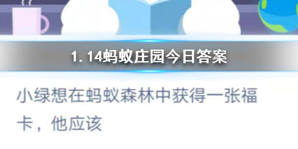 蚂蚁森林今日最新问题及答案解析，学习之旅中的变化与自信成就感的源泉揭秘