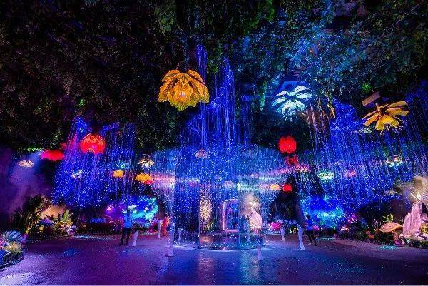 最新影院，自然美景的心灵之旅盛宴