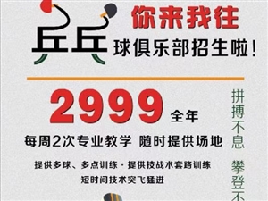 博兴在线最新招聘信息