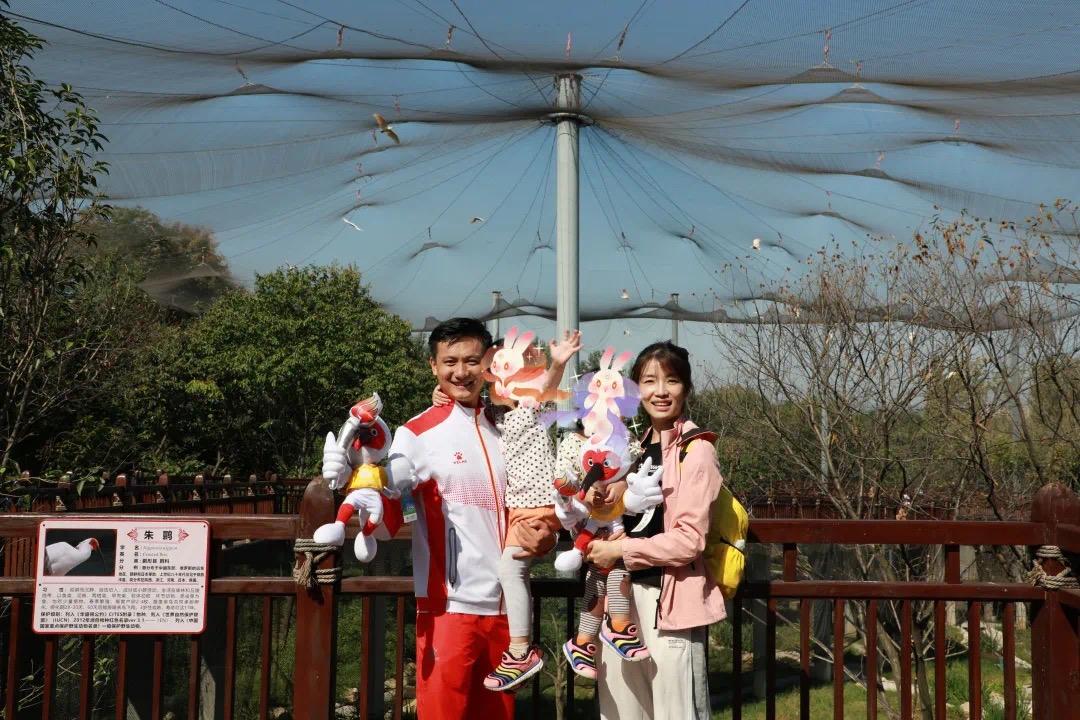 西安未来15天天气预报分析与展望，最新预报解读