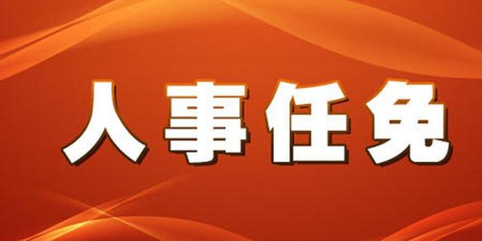 广西最新人事任免，解读及观点阐述