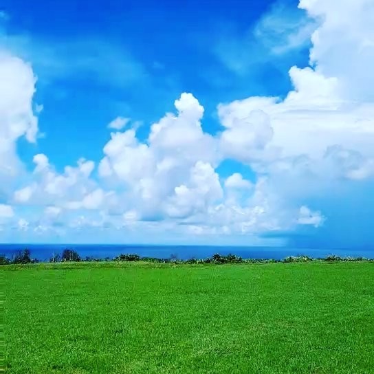 背绿一角最新价格，自然美景中的旅行探索之旅
