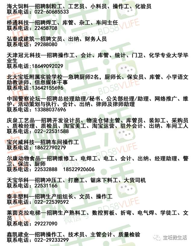 宁晋123最新招聘，职位观点与求职指南