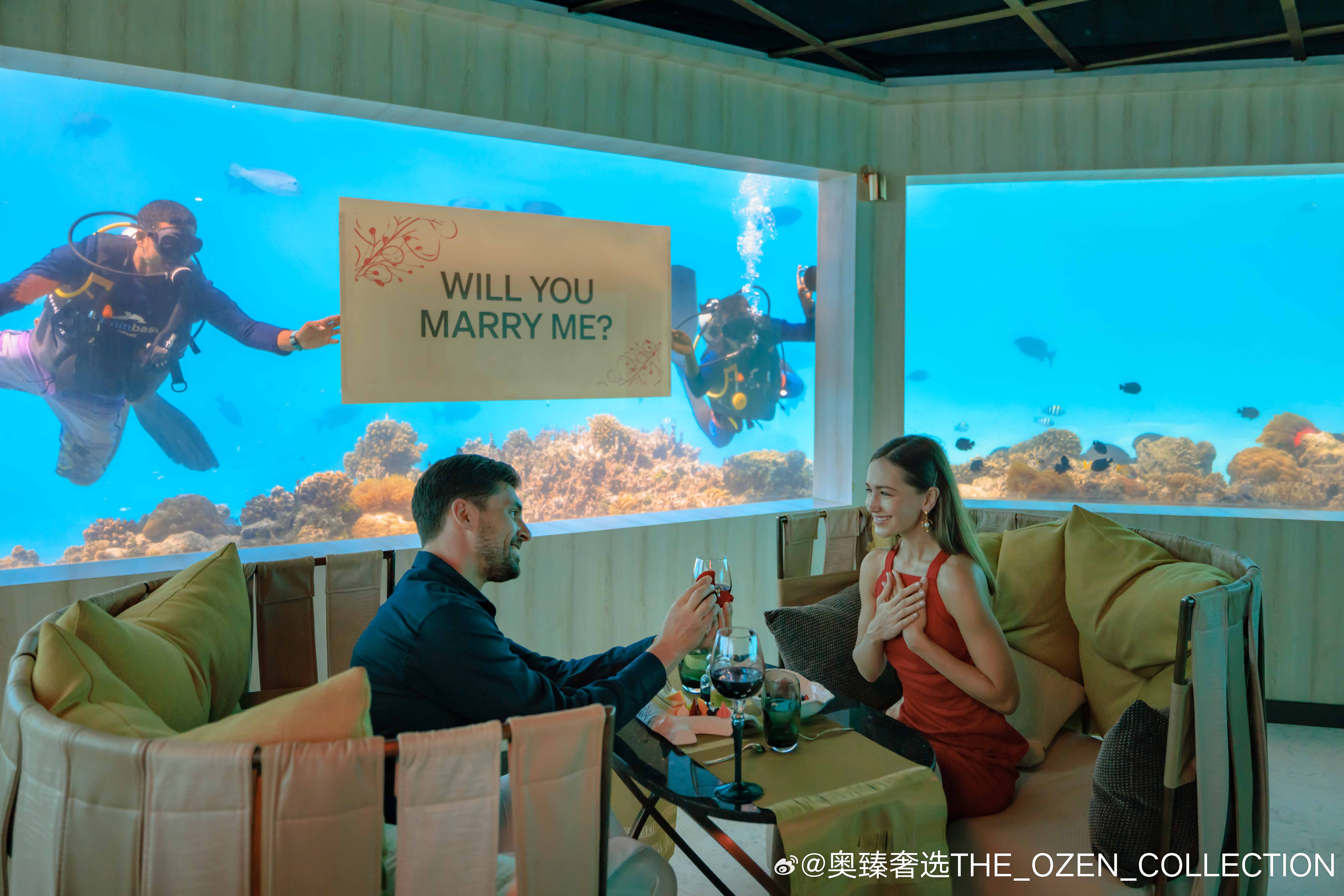 最新浮力影院，与自然美景的浪漫之旅，探寻内心平和的观影体验