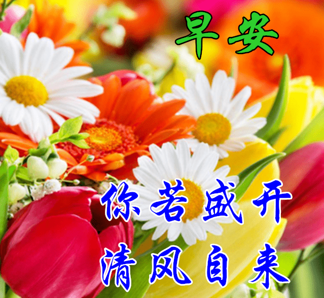 早上好图片