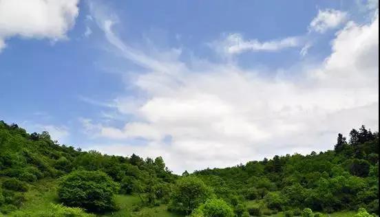 螺纹钢期货最新动态与寻找内心平和之旅，与自然美景的邂逅
