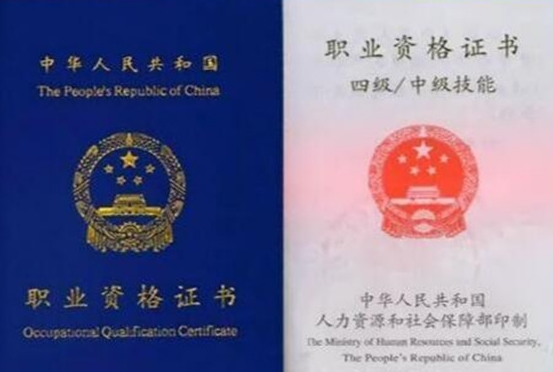 最新国家职业资格证书概览，一览表全解析